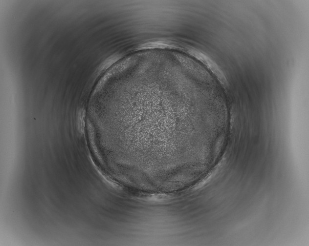 X0000111871233200908061247