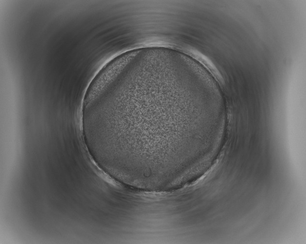 X0000111871236200908061247