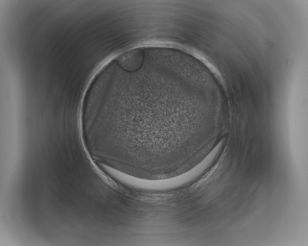 X0000111871237200908061247