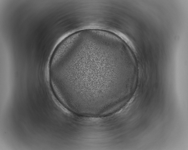 X0000111871238200908061247