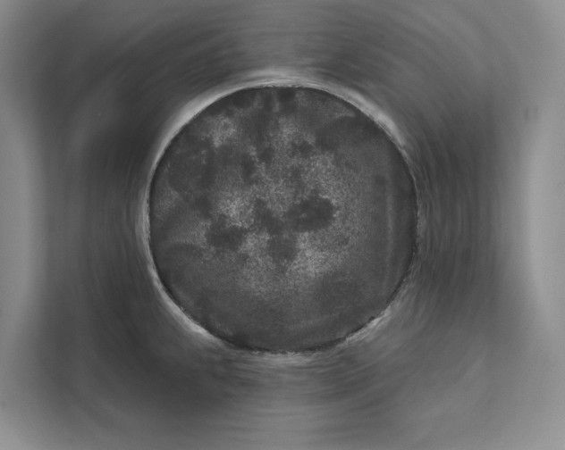 X0000111871239200908061247