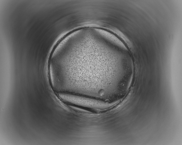 X0000111871240200908061247