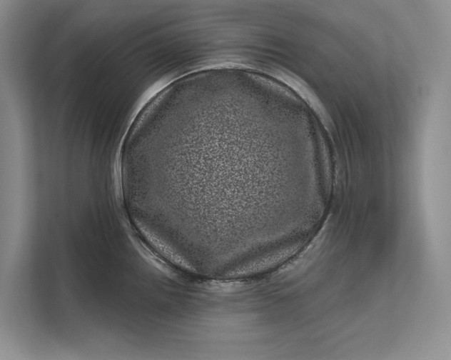 X0000111871242200908061247