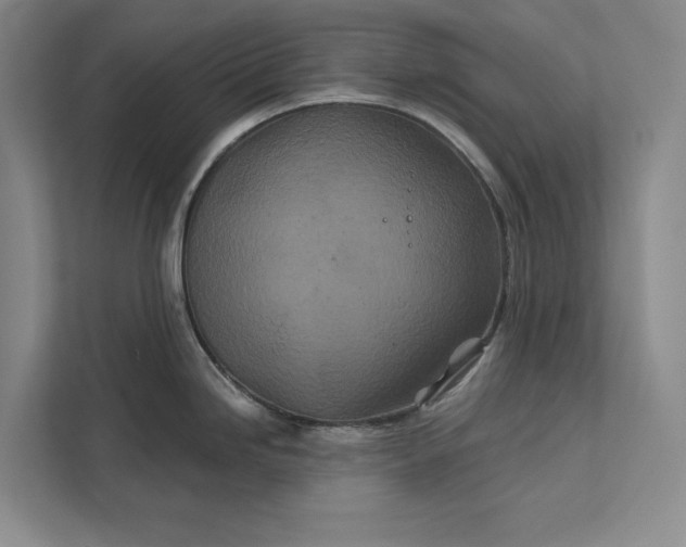 X0000111871246200908061247