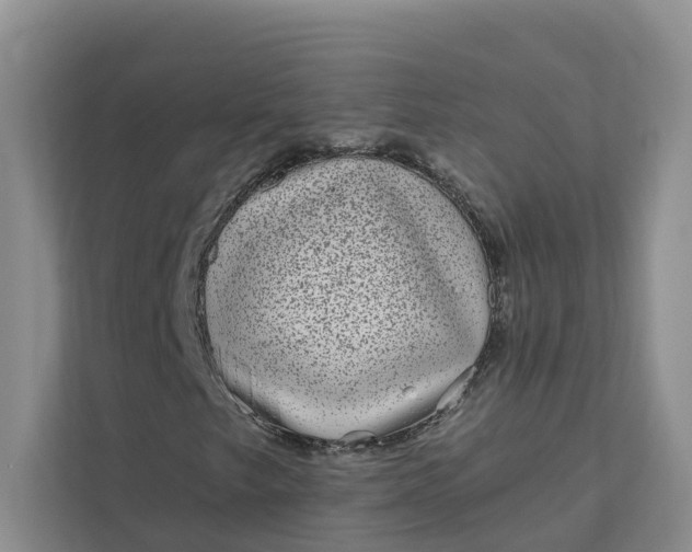 X0000111871249200908061247