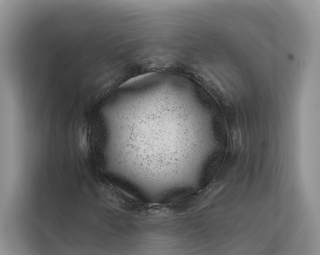 X0000111871250200908061247