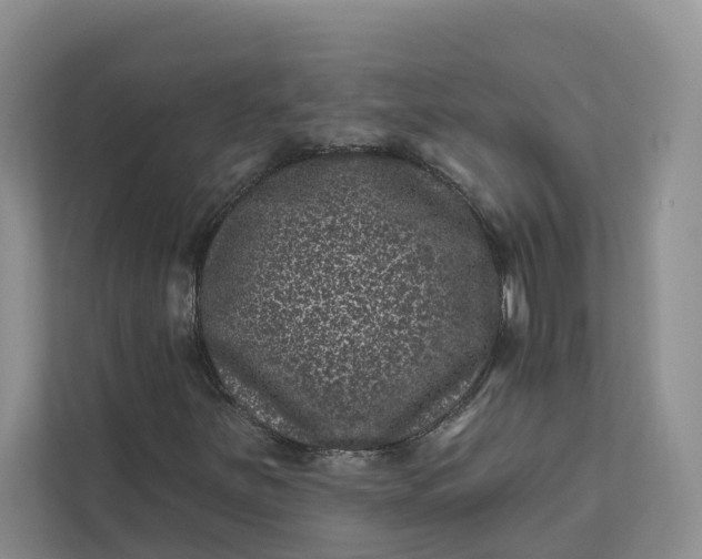 X0000111871251200908061247