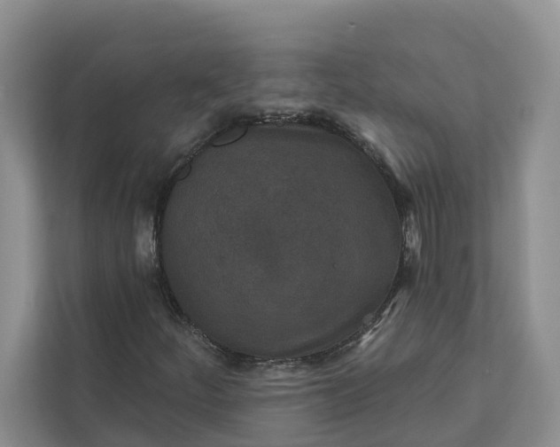 X0000111871252200908061247