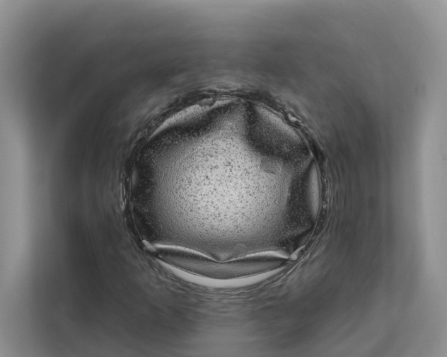 X0000111871253200908061247