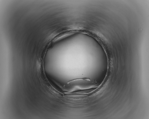 X0000111871257200908061247