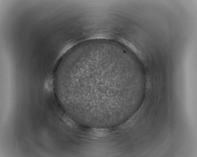 X0000111871258200908061247