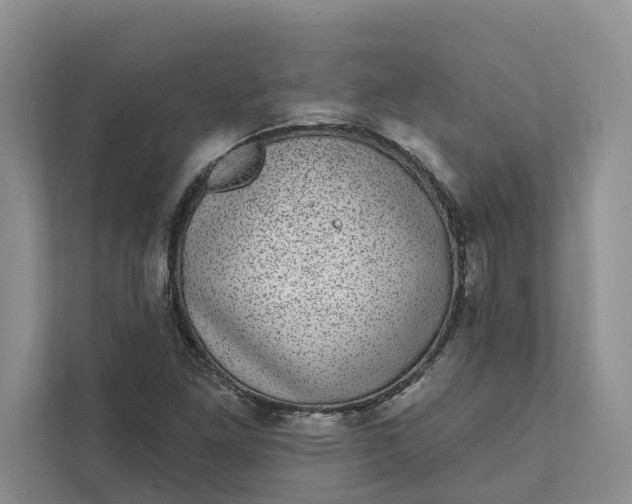 X0000111871261200908061247