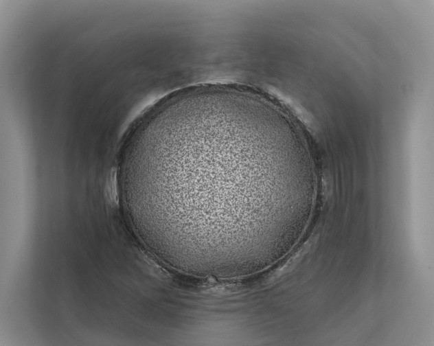 X0000111871262200908061247