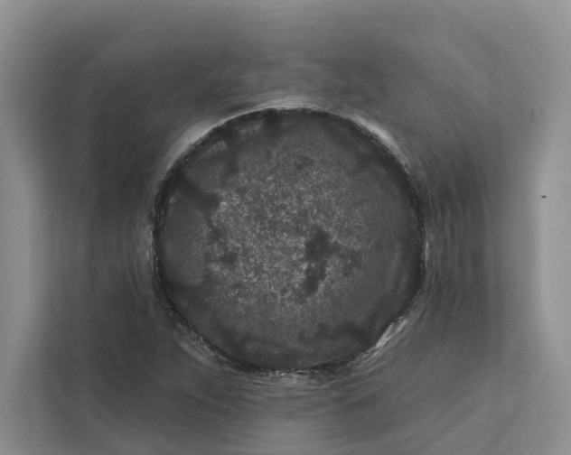 X0000111871263200908061247