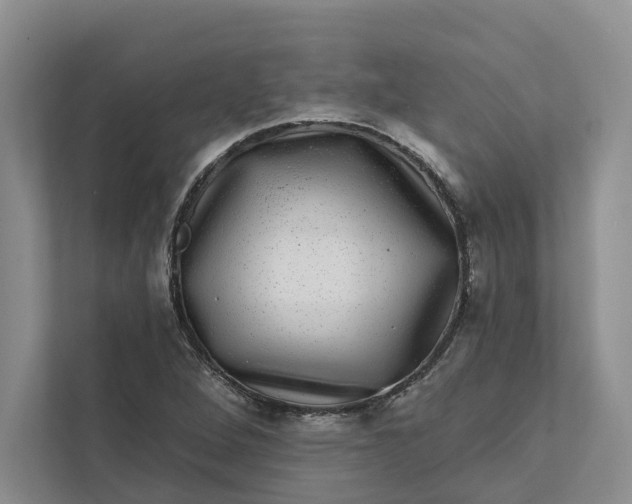 X0000111871264200908061247