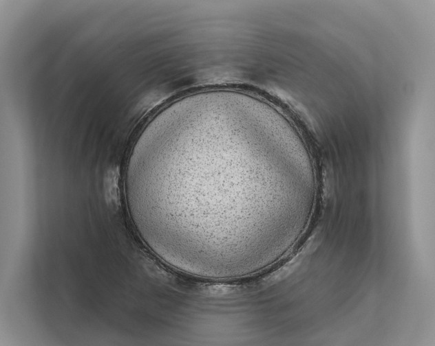 X0000111871265200908061247