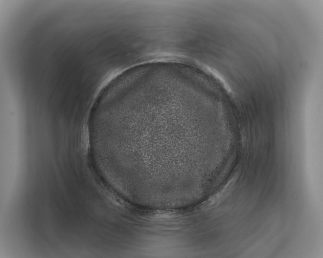 X0000111871267200908061247