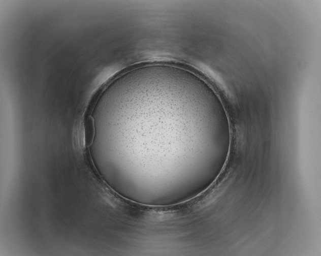 X0000111871269200908061247