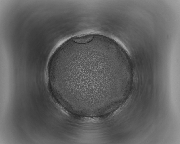 X0000111871270200908061247