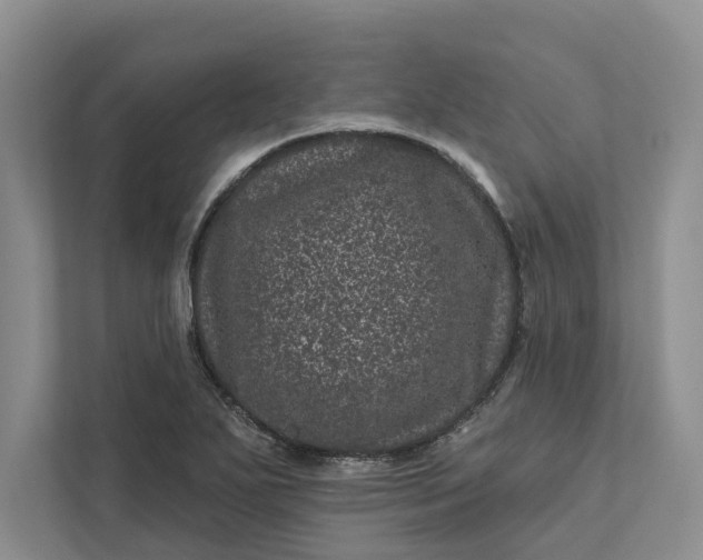 X0000111871271200908061247