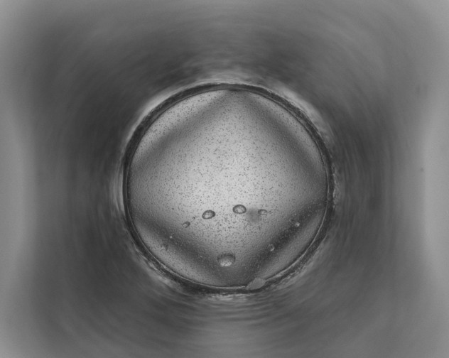 X0000111871272200908061247