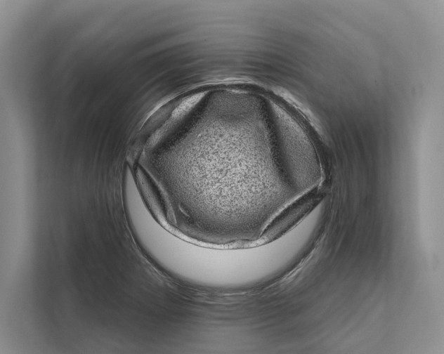 X0000111871273200908061247