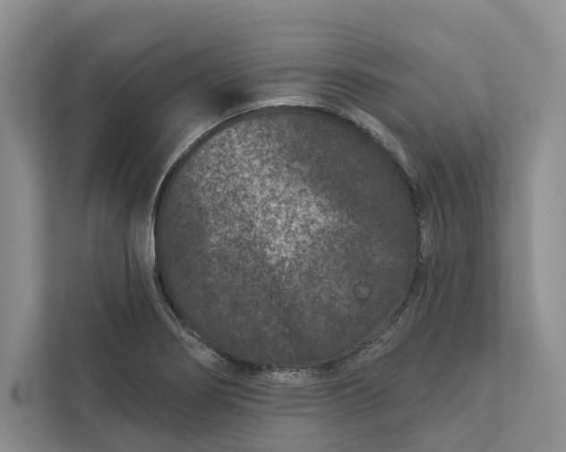 X0000111871274200908061247