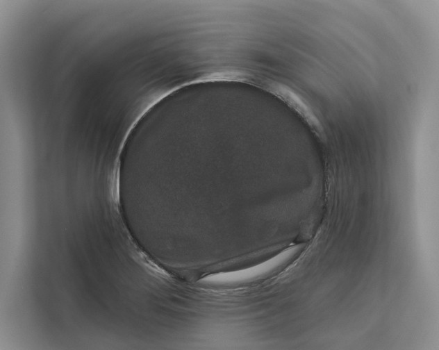 X0000111871276200908061246