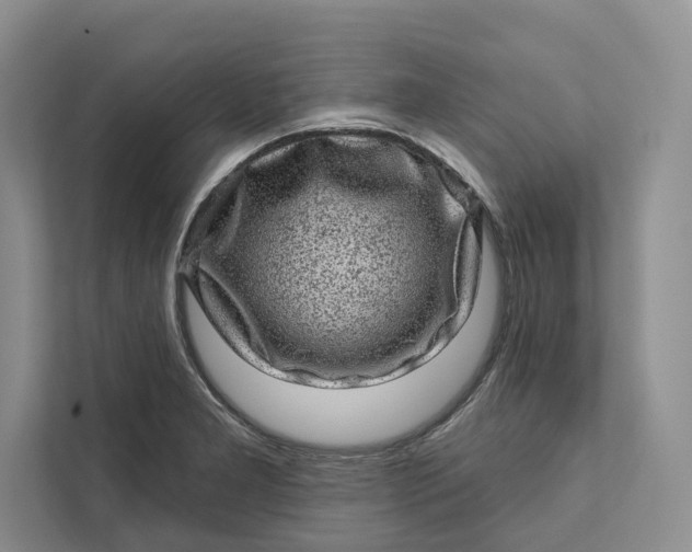 X0000111871277200908061246