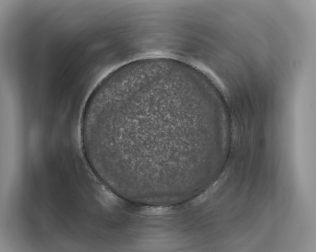 X0000111871278200908061246