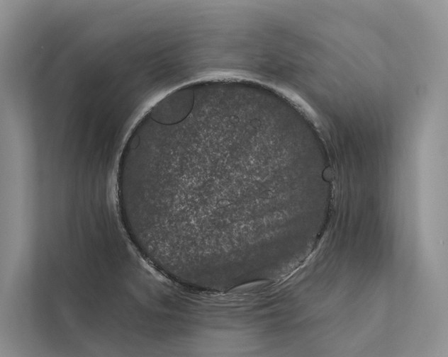 X0000111871279200908061246