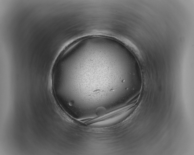 X0000111871280200908061246