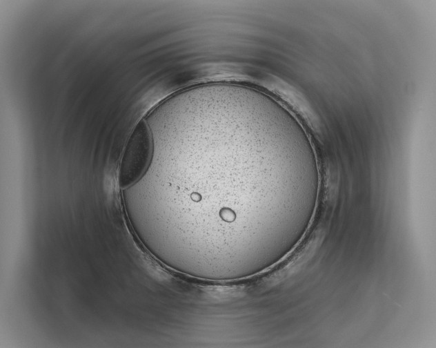 X0000111871281200908061246