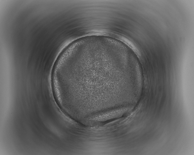 X0000111871283200908061246