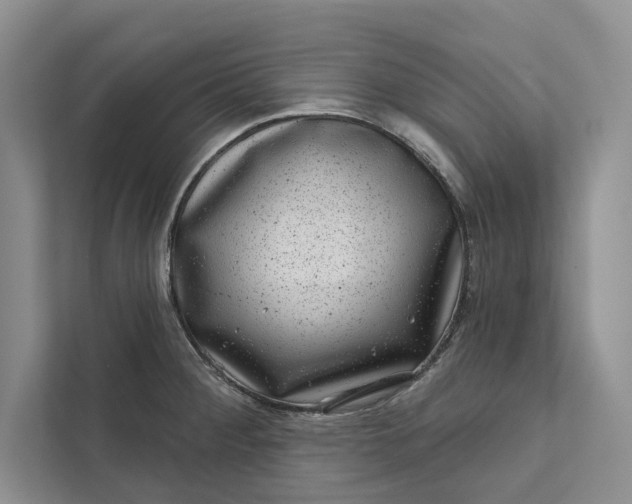 X0000111871284200908061246