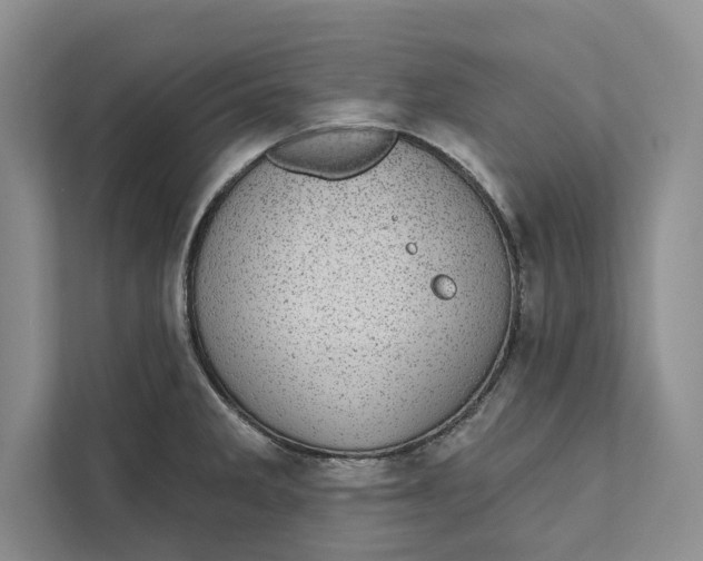 X0000111871285200908061246