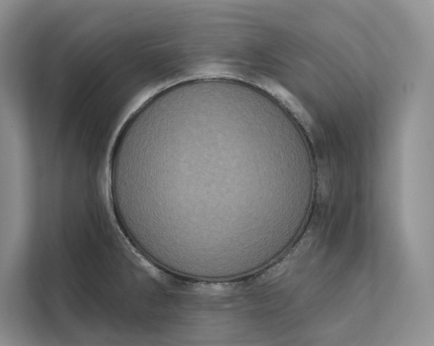 X0000111871286200908061246