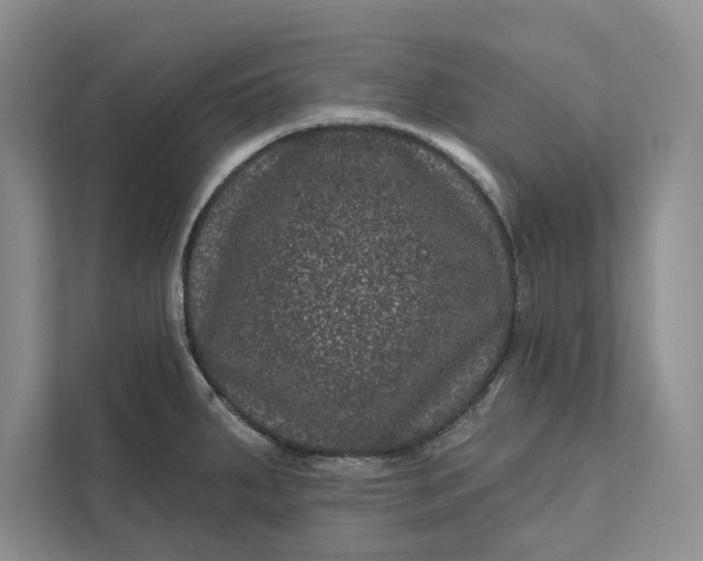 X0000111871287200908061246