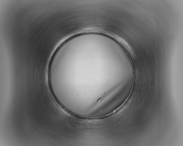 X0000111871288200908061246