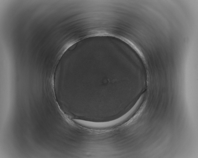 X0000111871289200908061246