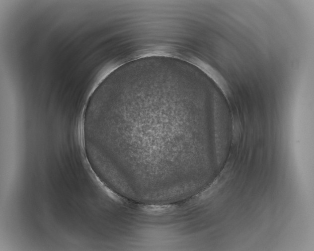 X0000111871290200908061246