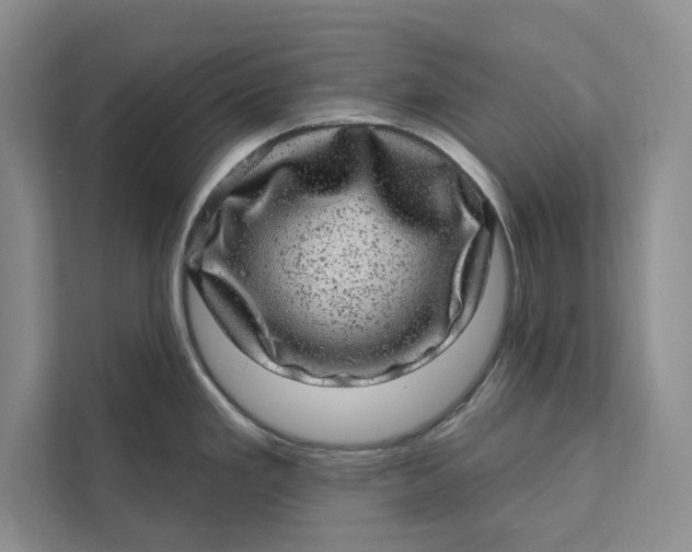 X0000111871293200908061246