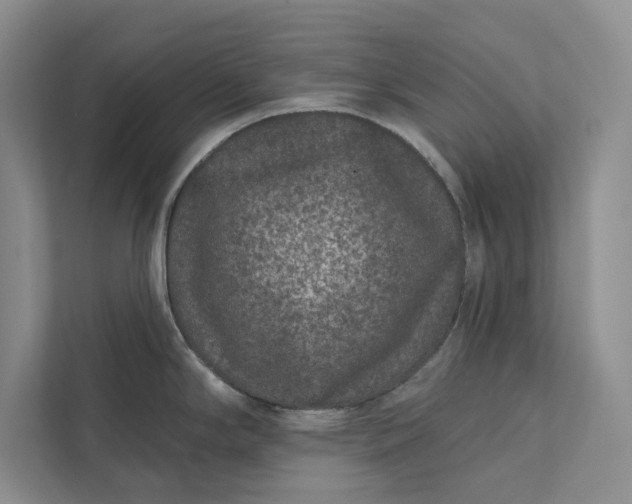 X0000111871294200908061246