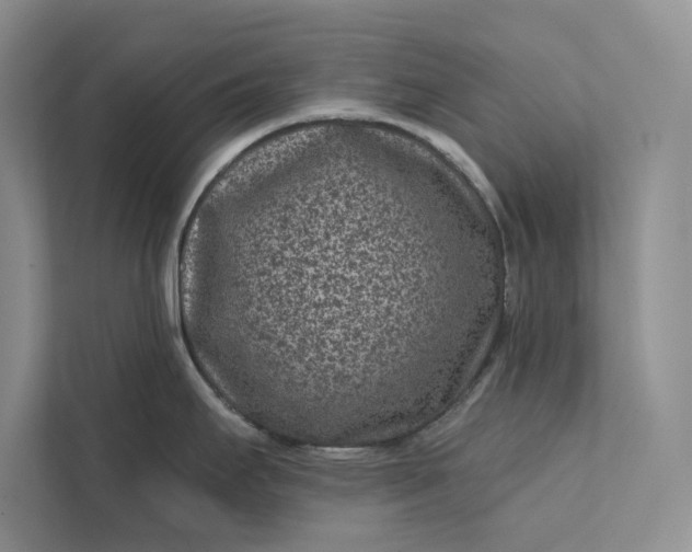 X0000111871295200908061246