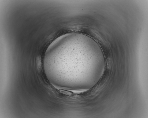 X0000111871298200908061246