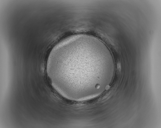 X0000111871300200908061246