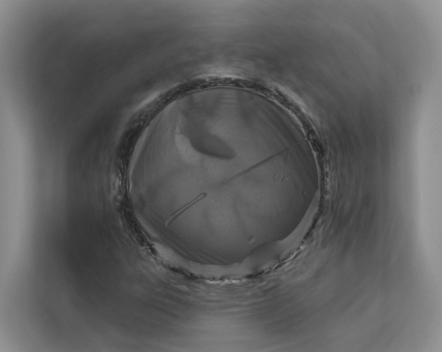 X0000111871303200908061246