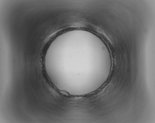 X0000111871304200908061246