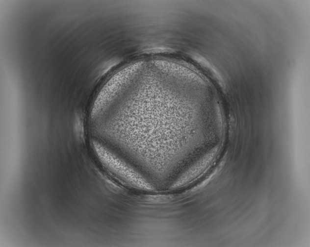 X0000111871305200908061246