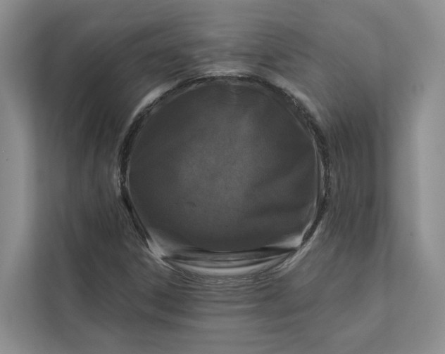 X0000111871306200908061246